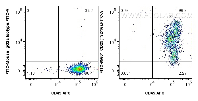 FC experiment of human PBMCs using FITC-65601