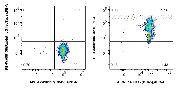 FC experiment of human PBMCs using PE-FcA98188