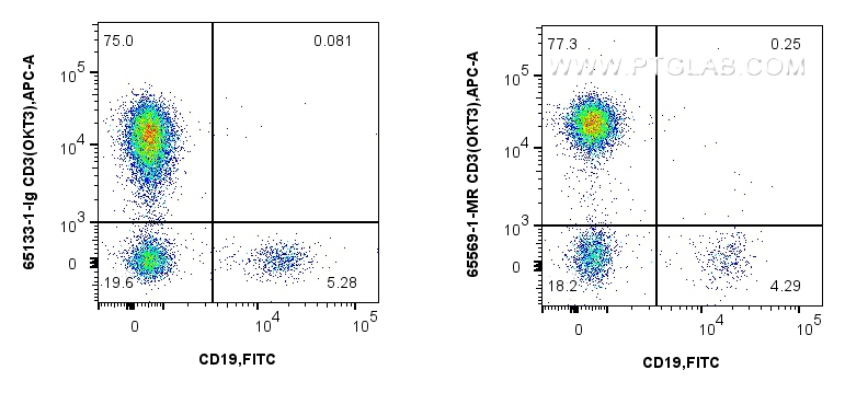 CD3