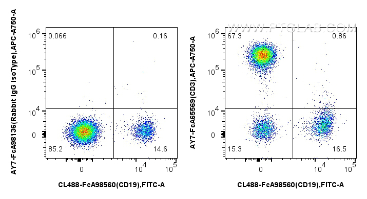 1x10^6 human PBMCs were surface stained with CoraLite® Plus 488 Anti-Human CD19, and 5 ul APC-Cyanine7 Anti-Human CD3 (OKT3) Rabbit RecAb (AY7-FcA65569, Clone: OKT3) or Rabbit IgG Isotype Control RecAb (AY7-FcA98136, Clone: 240953C9). Cells were not fixed. Lymphocytes were gated. FC experiment of human PBMCs using AY7-FcA65569