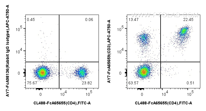 FC experiment of mouse splenocytes using AY7-FcA65659