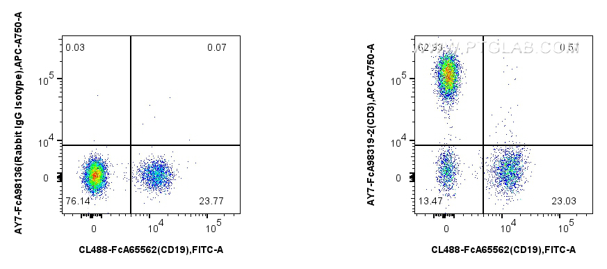 FC experiment of human PBMCs using AY7-FcA98319-2