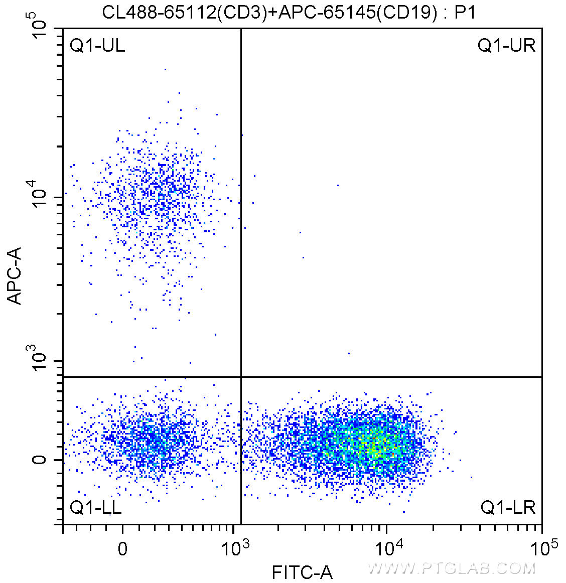 CD3