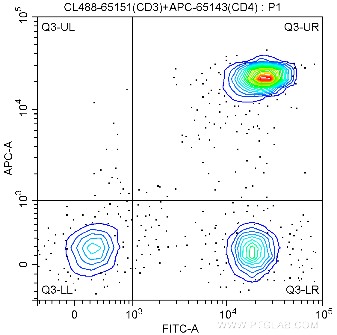 CD3