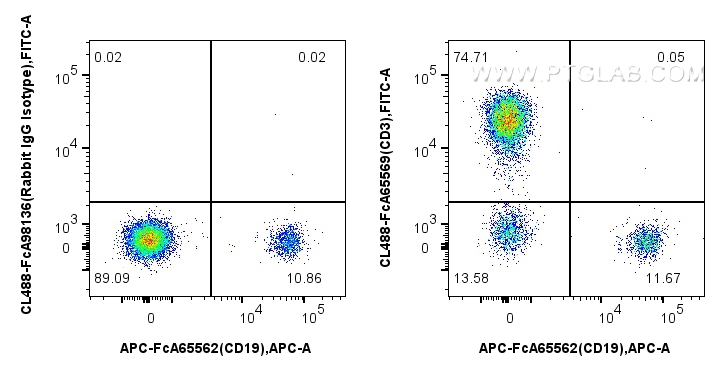 1x10^6 human PBMCs were surface stained with FcZero-rAb™ APC Anti-Human CD19 (4G7), and 5 ul CoraLite® Plus 488 Anti-Human CD3 (OKT3) Rabbit IgG RecAb (CL488-FcA65569, Clone: OKT3) or FcZero-rAb™ CoraLite® Plus 488 Rabbit IgG Isotype Control Recombinant Antibody (CL488-FcA98136, Clone: 240953C9). Cells were not fixed. Lymphocytes were gated. FC experiment of human PBMCs using CL488-FcA65569
