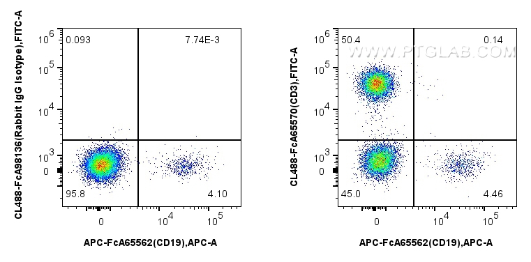 FC experiment of human PBMCs using CL488-FcA65570