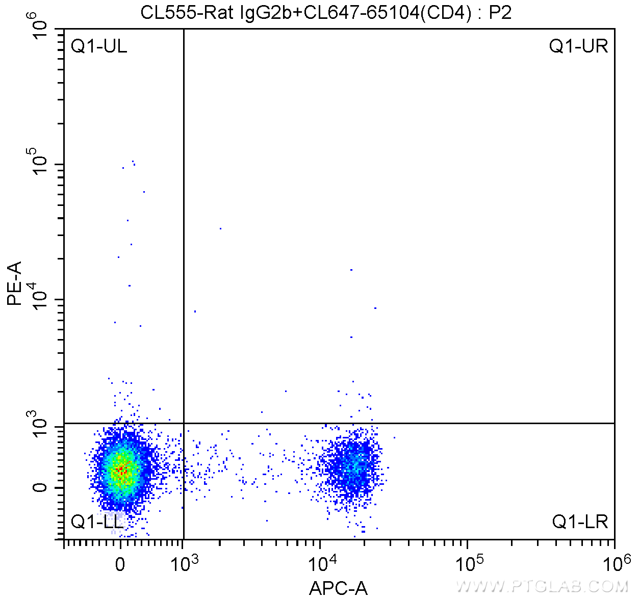 CD3