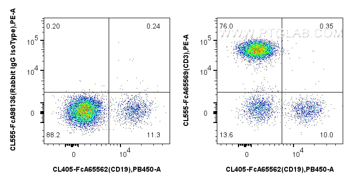 FC experiment of human PBMCs using CL555-FcA65569