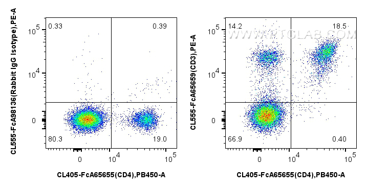 FC experiment of mouse splenocytes using CL555-FcA65659 FC experiment of mouse splenocytes using CL555-FcA65659