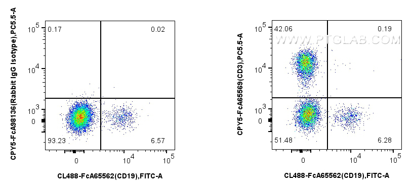 FC experiment of human PBMCs using CPY5-FcA65569