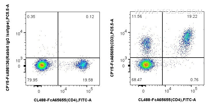FC experiment of mouse splenocytes using CPY5-FcA65659
