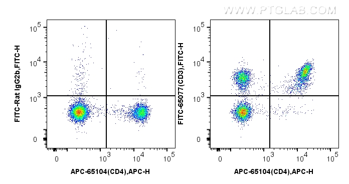 CD3