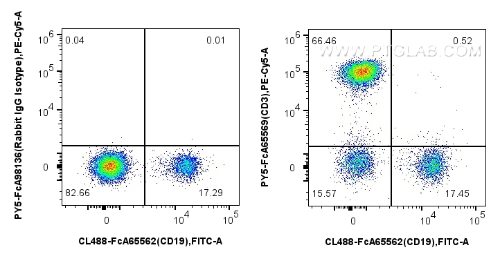 1x10^6 human PBMCs were surface stained with FcZero-rAb™ CoraLite® Plus 488 Anti-Human CD19 (4G7), and 5 ul PE-Cyanine5 Anti-Human CD3 (OKT3) Rabbit RecAb (PY5-FcA65569, Clone: OKT3) or FcZero-rAb™ PE-Cyanine5 Rabbit IgG Isotype Control Recombinant Antibody (PY5-FcA98136, Clone: 240953C9). Cells were not fixed. Lymphocytes were gated. FC experiment of human PBMCs using PY5-FcA65569