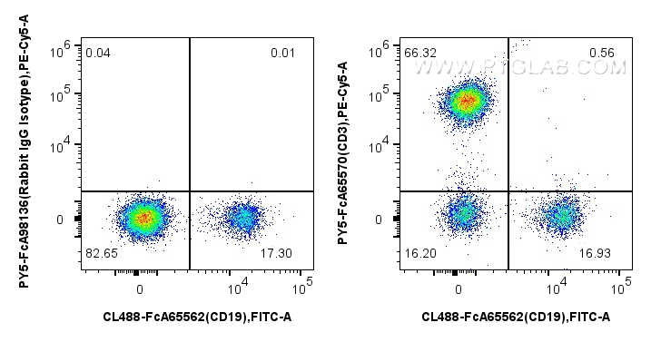 1x10^6 human PBMCs were surface stained with FcZero-rAb™ CoraLite® Plus 488 Anti-Human CD19 (4G7), and 5 ul PE-Cyanine5 Anti-Human CD3 (UCHT1) Rabbit RecAb (PY5-FcA65570, Clone:UCHT1) or FcZero-rAb™ PE-Cyanine5 Rabbit IgG Isotype Control Recombinant Antibody (PY5-FcA98136, Clone: 240953C9). Cells were not fixed. Lymphocytes were gated. FC experiment of human PBMCs using PY5-FcA65570
