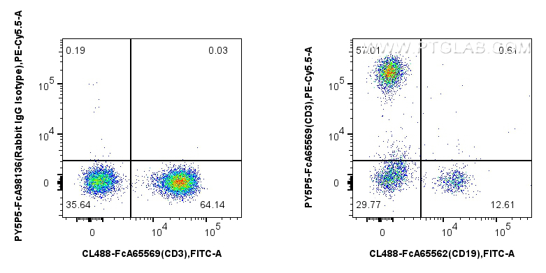FC experiment of human PBMCs using PY5P5-FcA65569