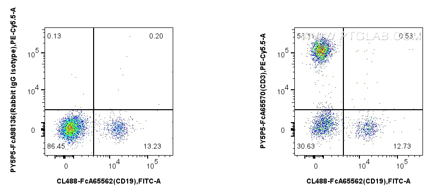 FC experiment of human PBMCs using PY5P5-FcA65570
