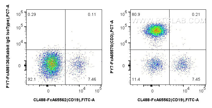 FC experiment of human PBMCs using PY7-FcA65570