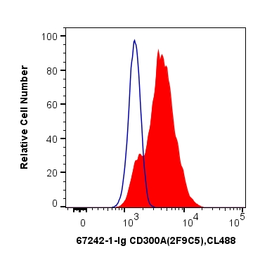 FC experiment of THP-1 using 67242-1-Ig