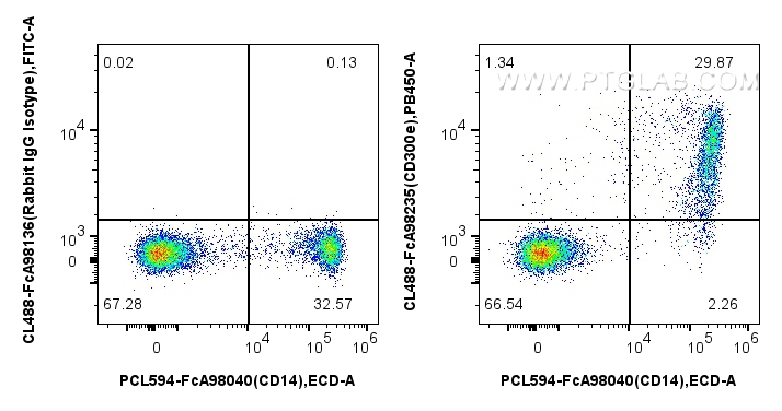 FC experiment of human PBMCs using CL488-FcA98235 FC experiment of human PBMCs using CL488-FcA98235