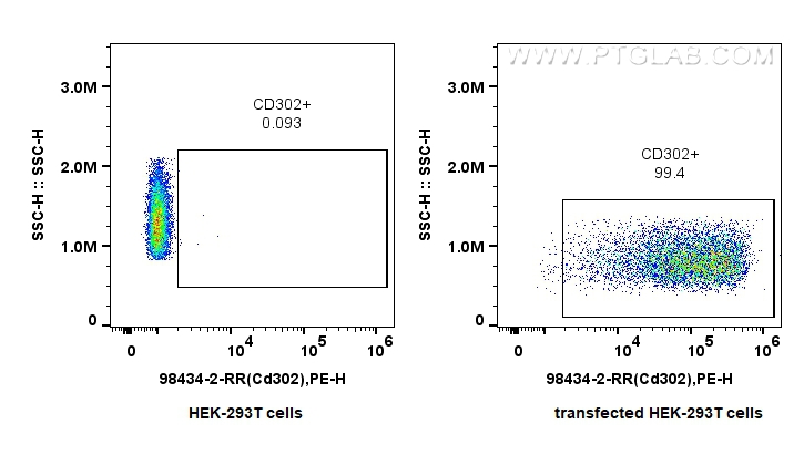 FC experiment of Transfected HEK-293T using 98434-2-RR FC experiment of Transfected HEK-293T using 98434-2-RR