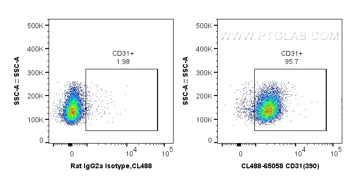 FC experiment of BALB/C mouse splenocytes using CL488-65058