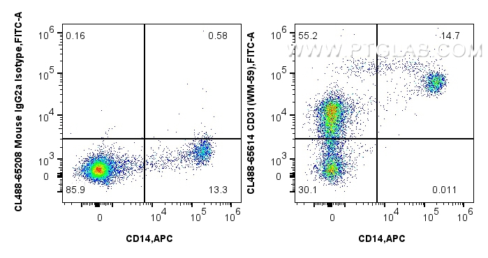 1x10^6 human PBMCs were surface stained with APC Anti-Human CD14, and 5 ul CoraLite® Plus 488 Anti-Human CD31 (WM-59) Mouse IgG2a RecAb (CL488-65614, Clone: WM-59) or CoraLite® Plus 488 Mouse IgG2a Isotype Control (C1.18.4) (<a class='green' href='/productredirect?CatalogNo=CL488-65208' target='_blank'>CL488-65208</a>, Clone: C1.18.4). Cells were incubated with FC Receptor Block prior to staining. Cells were not fixed. FC experiment of human PBMCs using CL488-65614