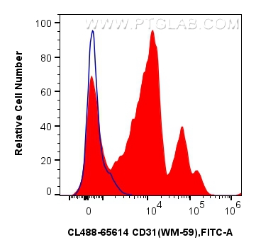 1x10^6 human PBMCs were surface stained with 5 ul CoraLite® Plus 488 Anti-Human CD31 (WM-59) Mouse IgG2a RecAb (CL488-65614, Clone: WM-59) (red) or CoraLite® Plus 488 Mouse IgG2a Isotype Control (C1.18.4) (<a class='green' href='/productredirect?CatalogNo=CL488-65208' target='_blank'>CL488-65208</a>, Clone: C1.18.4) (blue). Cells were incubated with FC Receptor Block prior to staining. Cells were not fixed. FC experiment of human PBMCs using CL488-65614