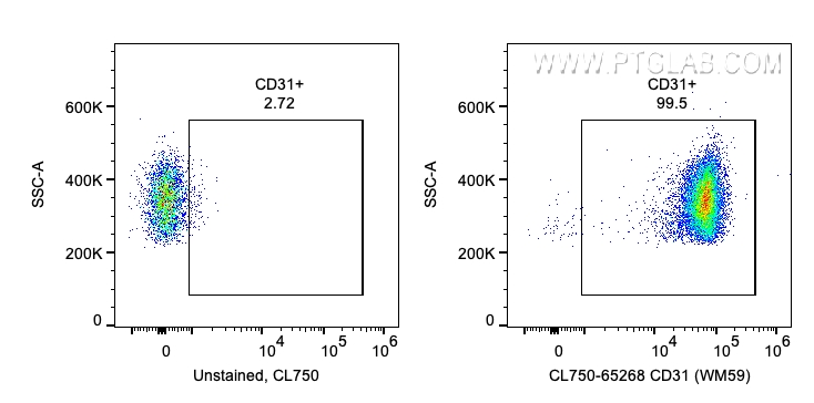 CD31