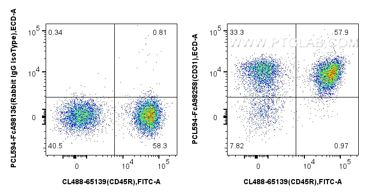 FC experiment of mouse splenocytes using PCL594-FcA98258 FC experiment of mouse splenocytes using PCL594-FcA98258