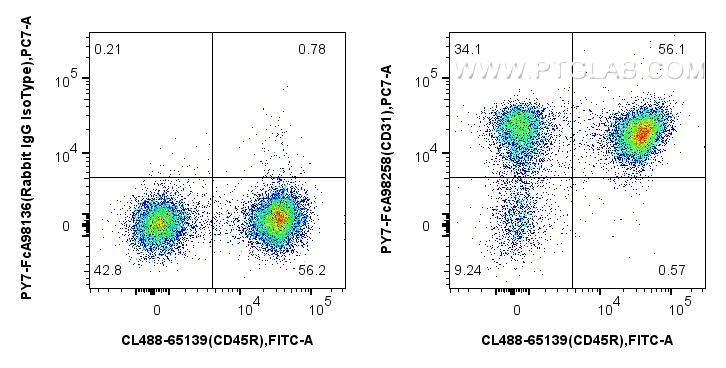 FC experiment of mouse splenocytes using PY7-FcA98258 FC experiment of mouse splenocytes using PY7-FcA98258