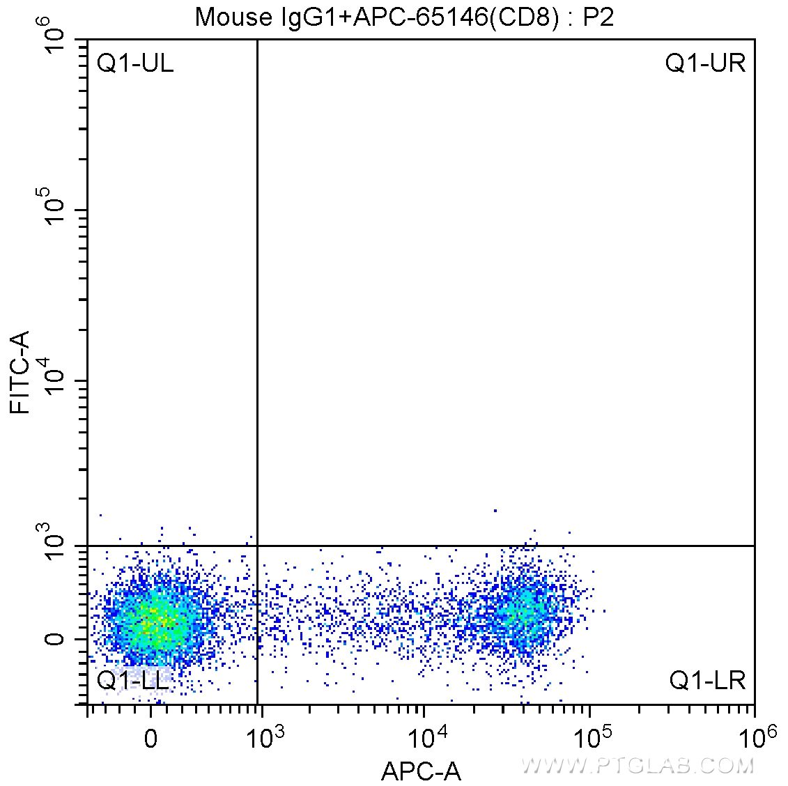 CD314/NKG2D