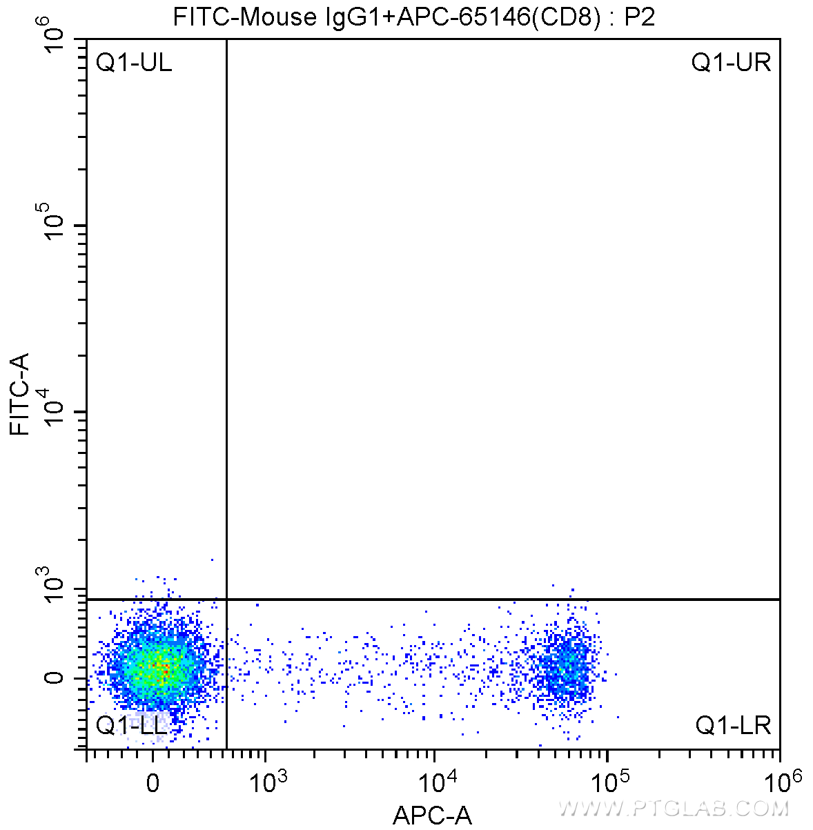 CD314/NKG2D