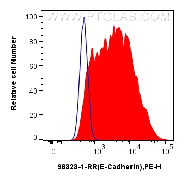 FC experiment of PC-12 using 98323-1-RR