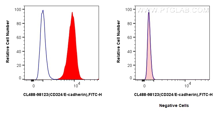 CD324 (E-cadherin)