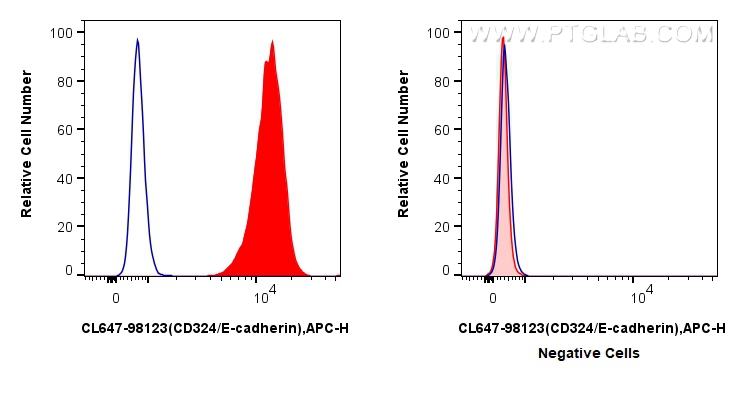 CD324 (E-cadherin)
