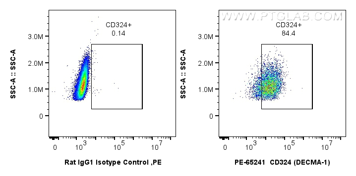 FC experiment of MDCK using PE-65241