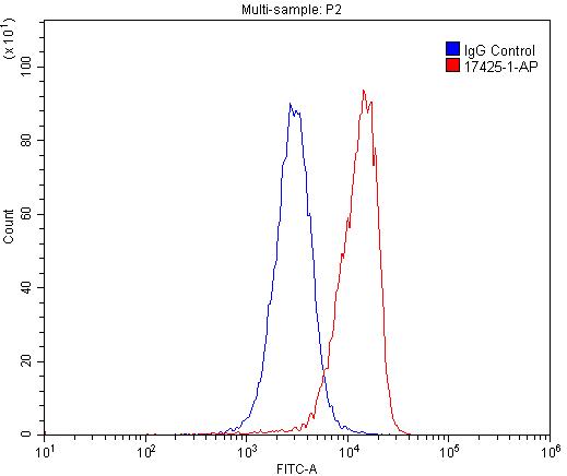 CD33