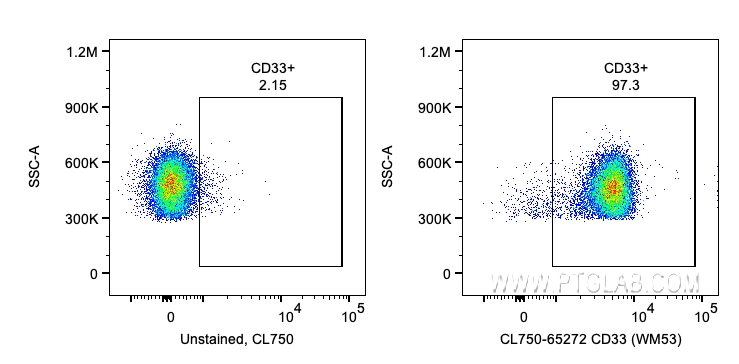 CD33