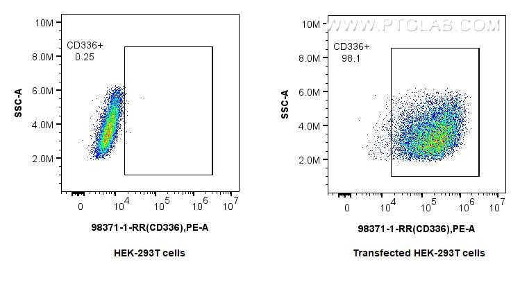 FC experiment of Transfected HEK-293T using 98371-1-RR (same clone as 98371-1-PBS)