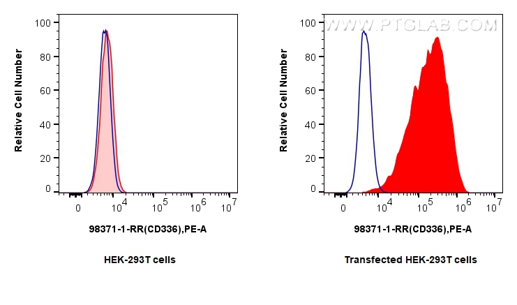 FC experiment of Transfected HEK-293T using 98371-1-RR (same clone as 98371-1-PBS)