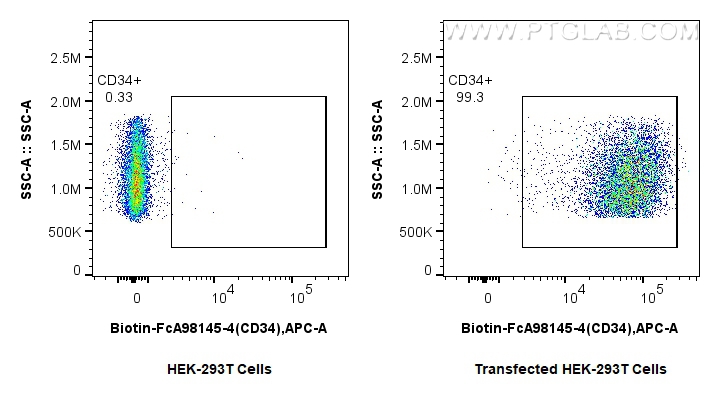 FC experiment of Transfected HEK-293T using Biotin-FcA98145-4