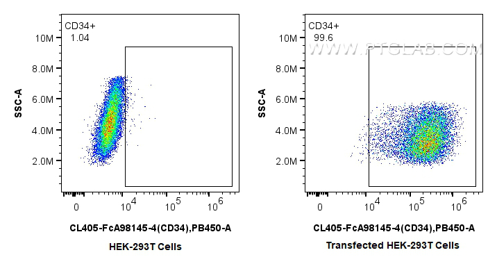 FC experiment of Transfected HEK-293T using CL405-FcA98145-4 FC experiment of Transfected HEK-293T using CL405-FcA98145-4