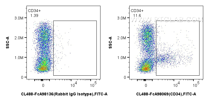 FC experiment of mouse bone marrow cells using CL488-FcA98069