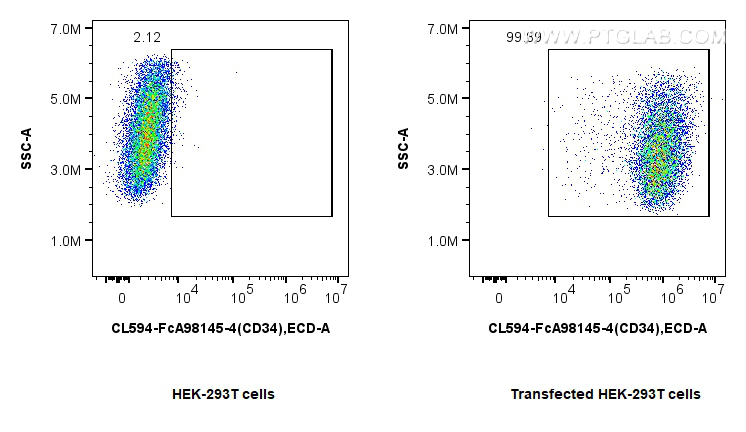 FC experiment of Transfected HEK-293T using CL594-FcA98145-4
