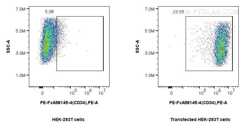 FC experiment of Transfected HEK-293T using PE-FcA98145-4