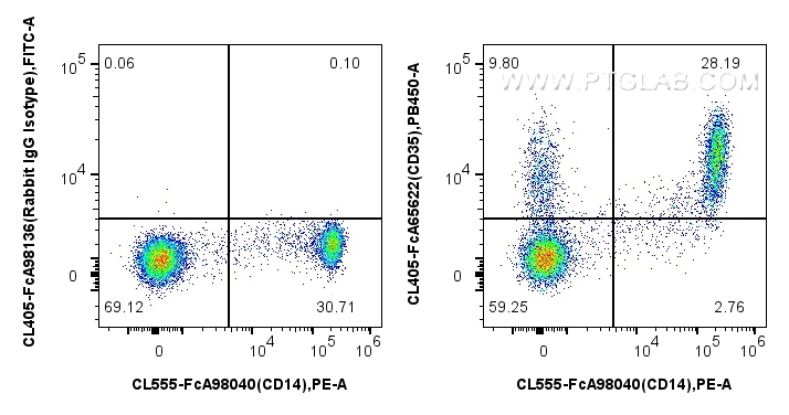 FC experiment of human PBMCs using CL405-FcA65622 FC experiment of human PBMCs using CL405-FcA65622