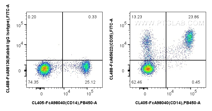 FC experiment of human PBMCs using CL488-FcA65622 FC experiment of human PBMCs using CL488-FcA65622