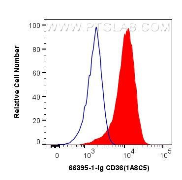 FC experiment of THP-1 using 66395-1-Ig (same clone as 66395-1-PBS)