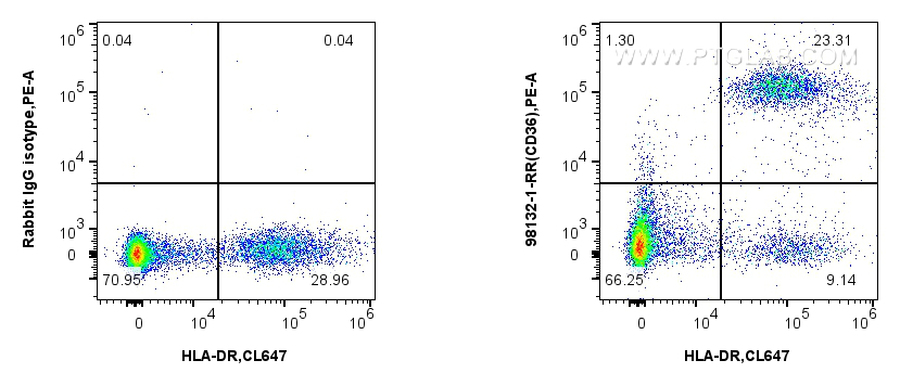 1x10^6 human PBMCs were surface stained with 0.25 ug Anti-Human CD36 Rabbit RecAb (98132-1-RR, Clone: 241262D5) or Rabbit IgG Isotype Control RecAb (<a class='green' href='/productredirect?CatalogNo=98136-1-RR' target='_blank'>98136-1-RR</a>, Clone: 240953C9), and PE-Conjugated Goat Anti-Rabbit IgG(H+L). Cells were then stained with CoraLite® Plus 647 Anti-Human HLA-DR. Cells were incubated with FC Receptor Block prior to staining. Cells were not fixed. FC experiment of human PBMCs using 98132-1-RR