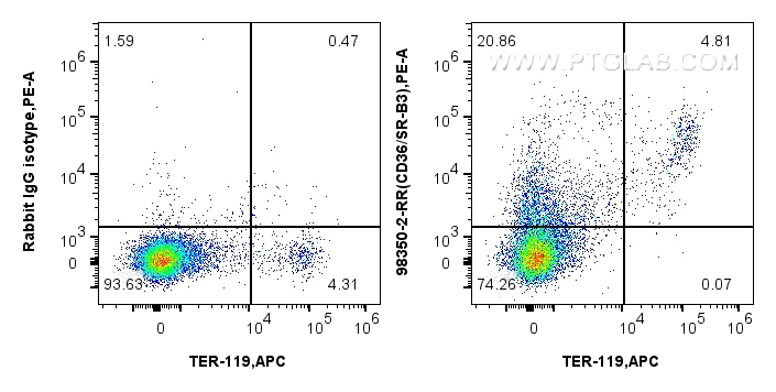 FC experiment of mouse bone marrow cells using 98350-2-RR